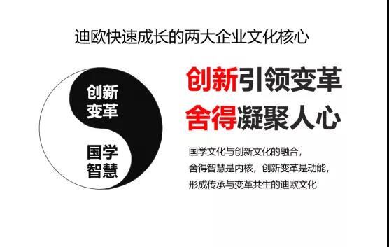 迪歐品牌戰(zhàn)略落地